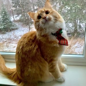 Meet your Posher, Alex